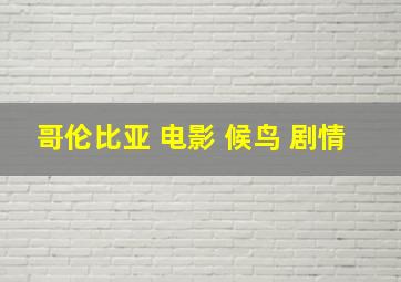 哥伦比亚 电影 候鸟 剧情